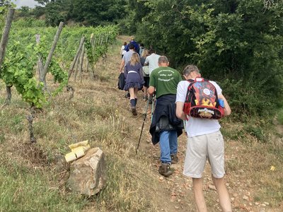 Rando En Côte-Rôtie