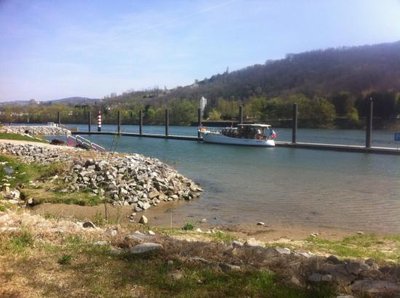 bassin joutes Ampuis