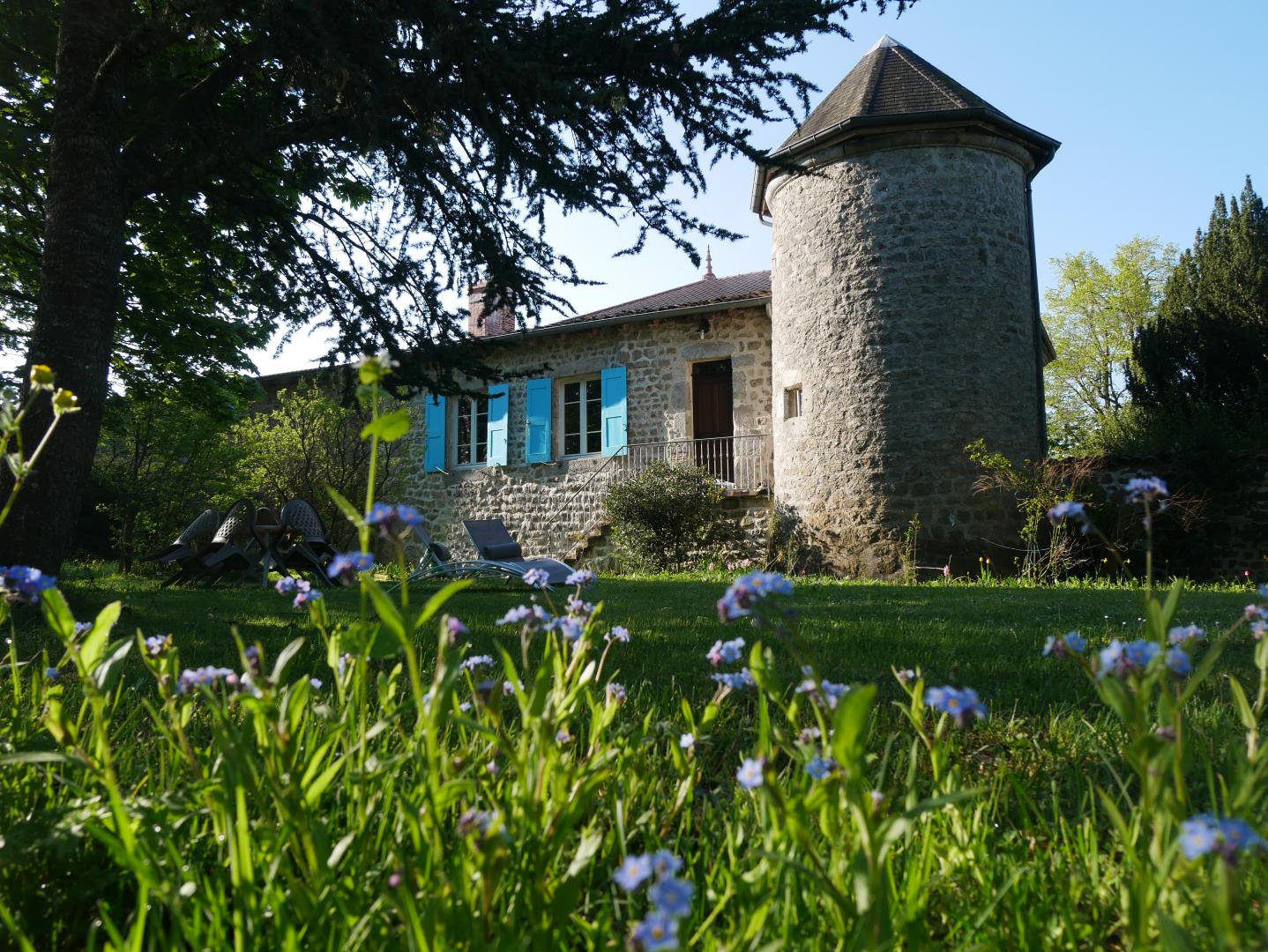 le printemps et ses myosotis