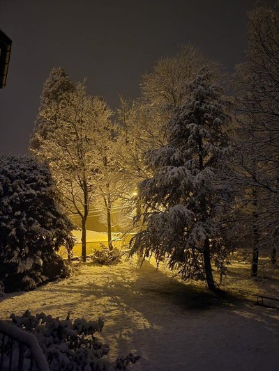 Photo prise par une hôte: vue par la fenêtre du gîte, au milieu de la nuit, le parc enneigé et illuminé au mois de mars 2024