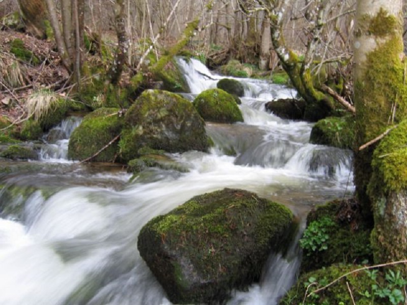 sentier_moulin_A.GEOURJON2_800