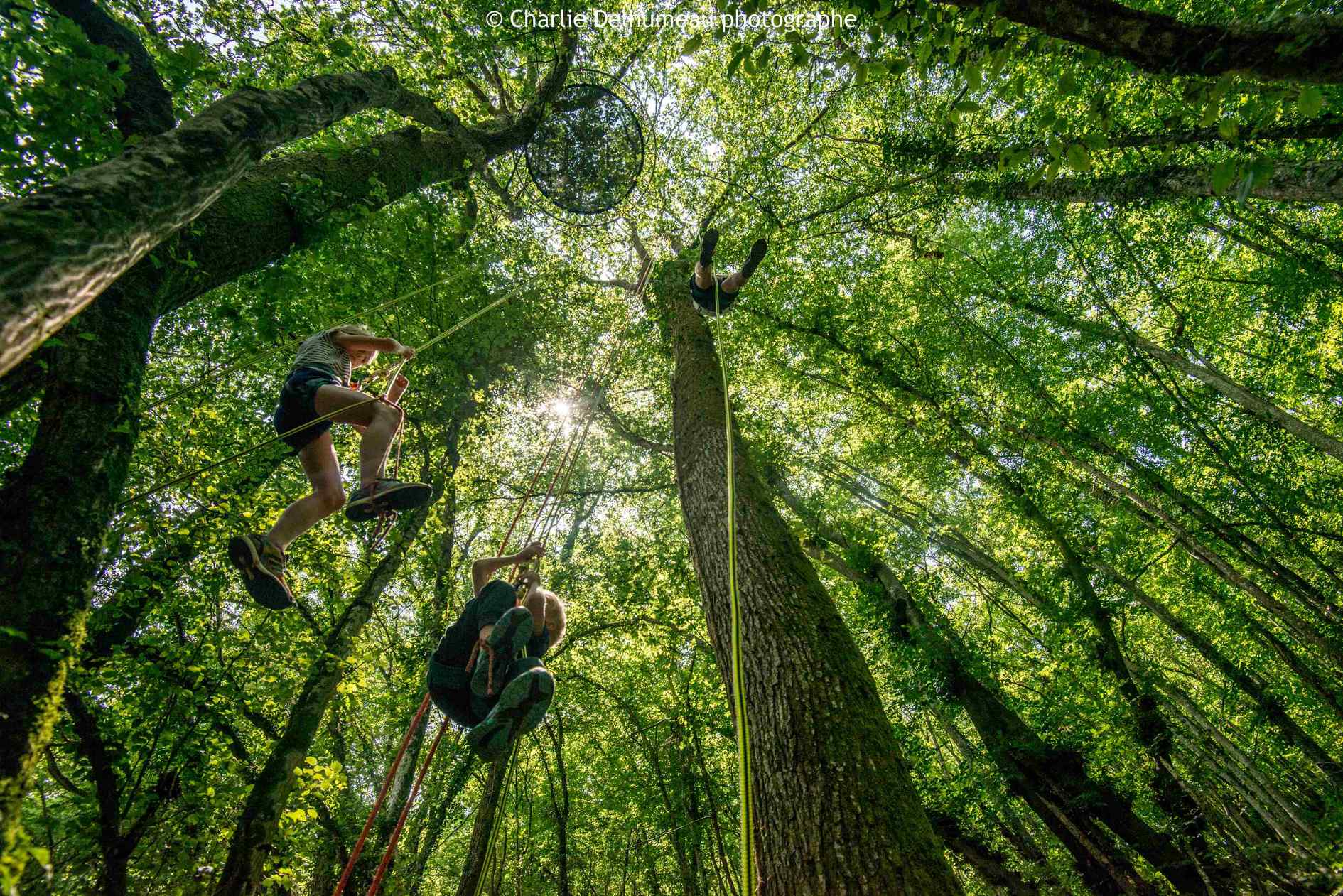 Accrobranche en terrain d'aventure