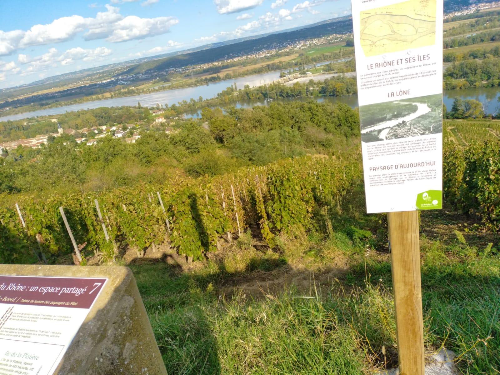 belvédère route de Chézenas