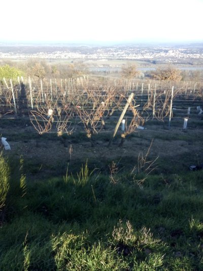 Vue sur le Rhône