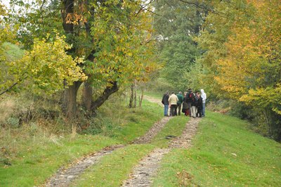 Entre Lardière et le Vernat