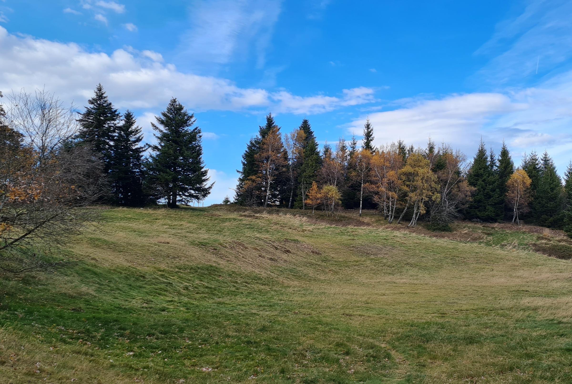 plateforme hôtel Brûlé