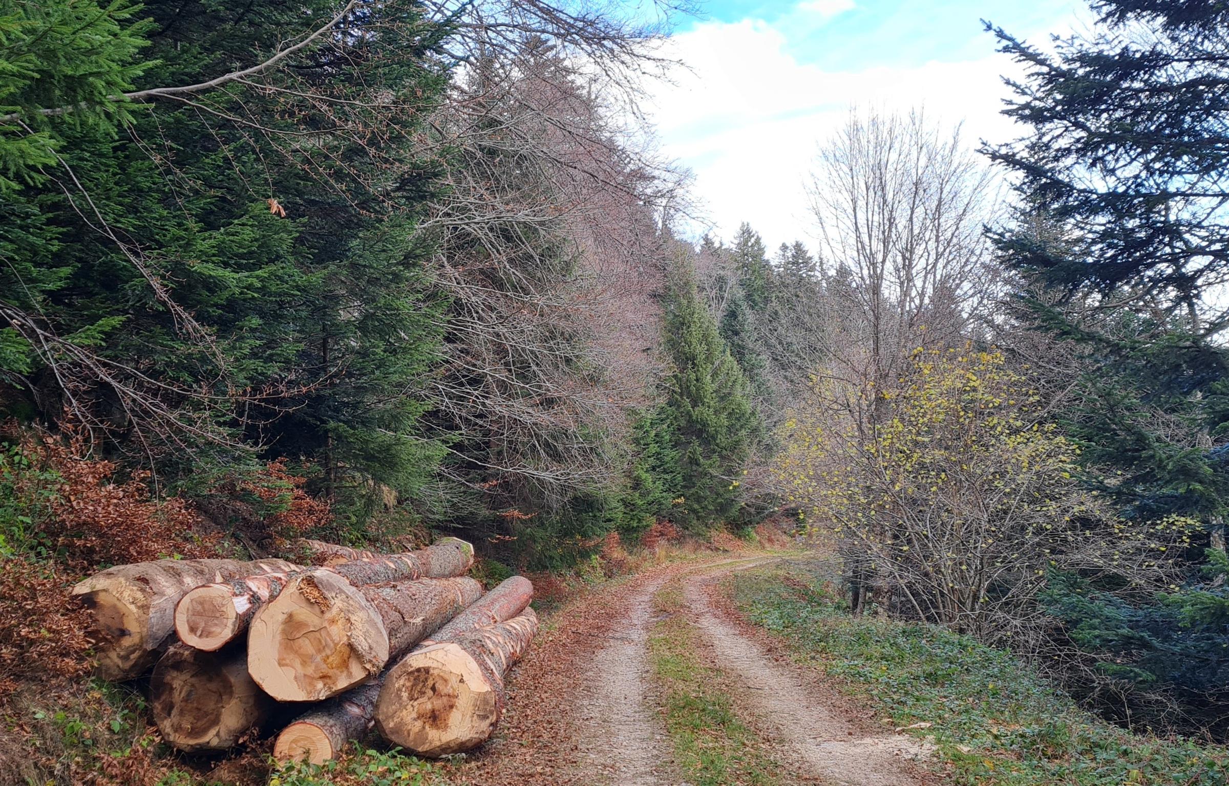 grumes stockées bord de route