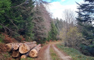 grumes stockées bord de route