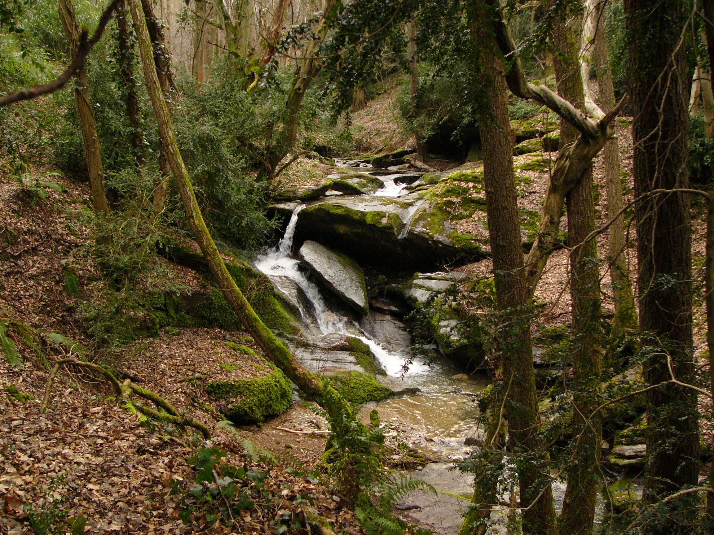 Vallon du Sifflet