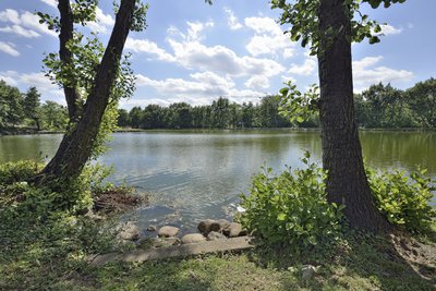 Bassin des Blondières