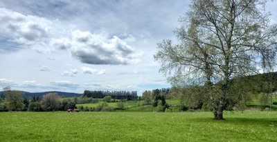 Vue du sentier