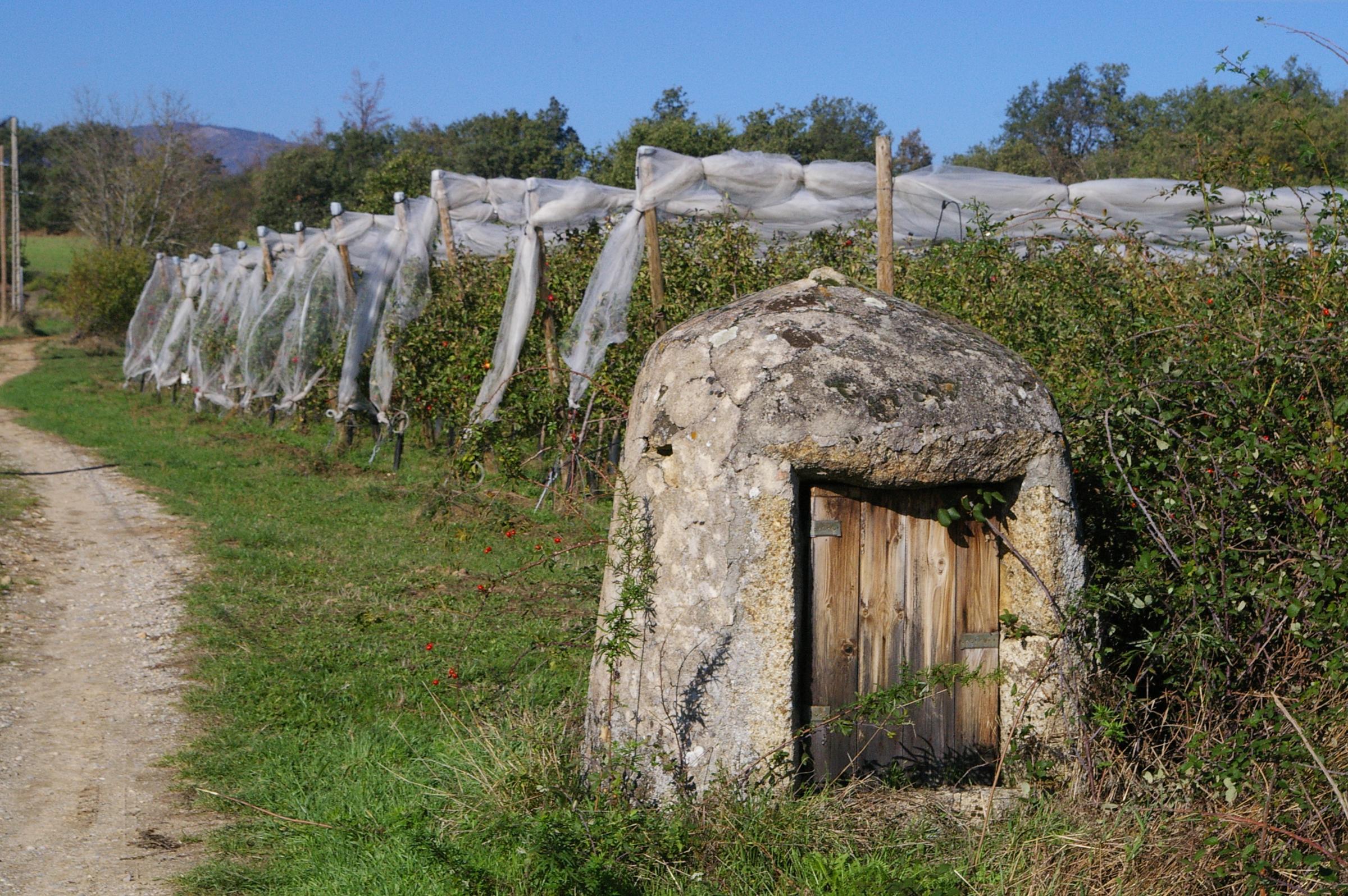 Puit du Bouillard