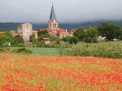 Village de Bessey sur son lit de coquelicots