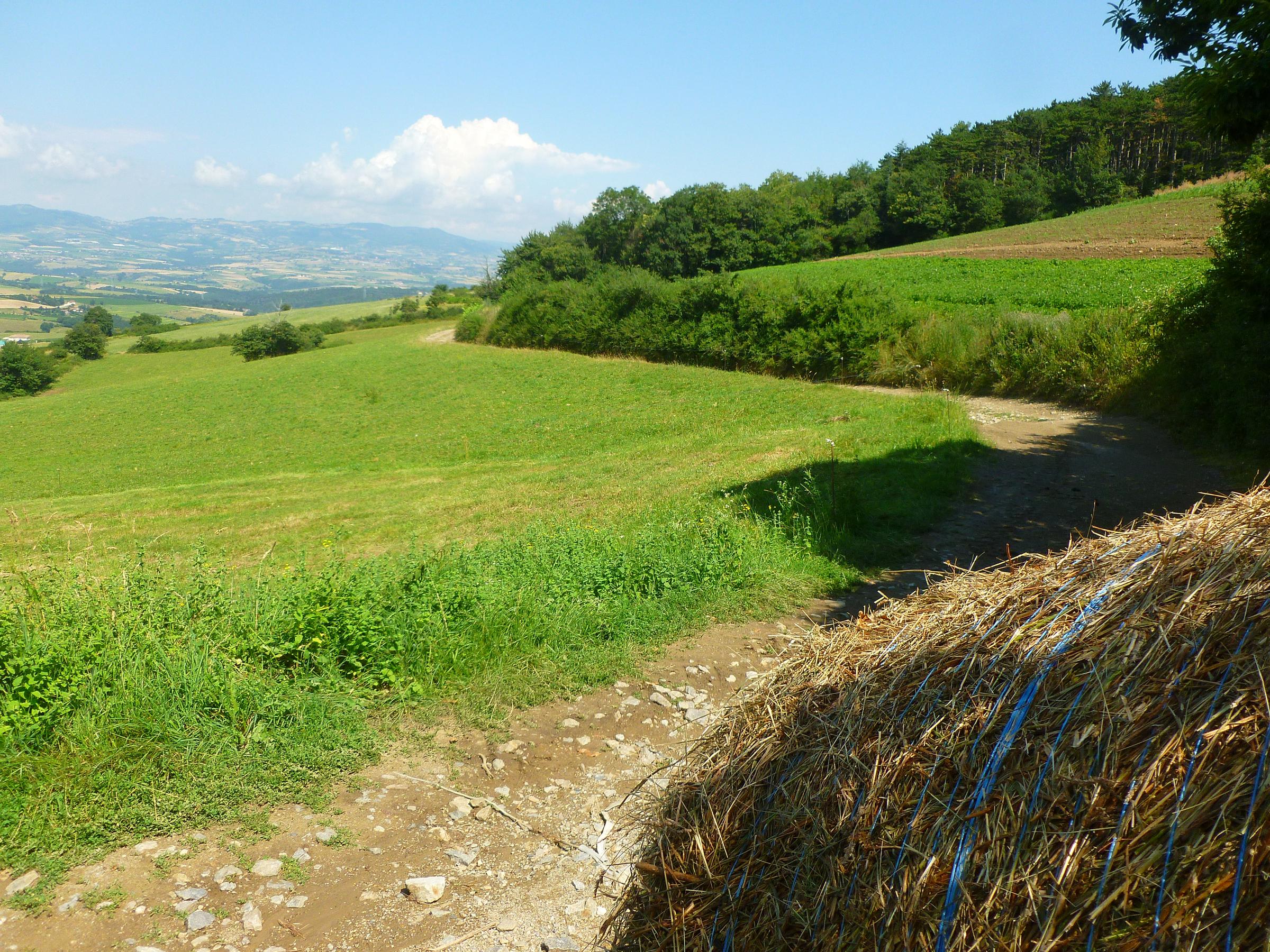 chemin après le col de Chassenoud