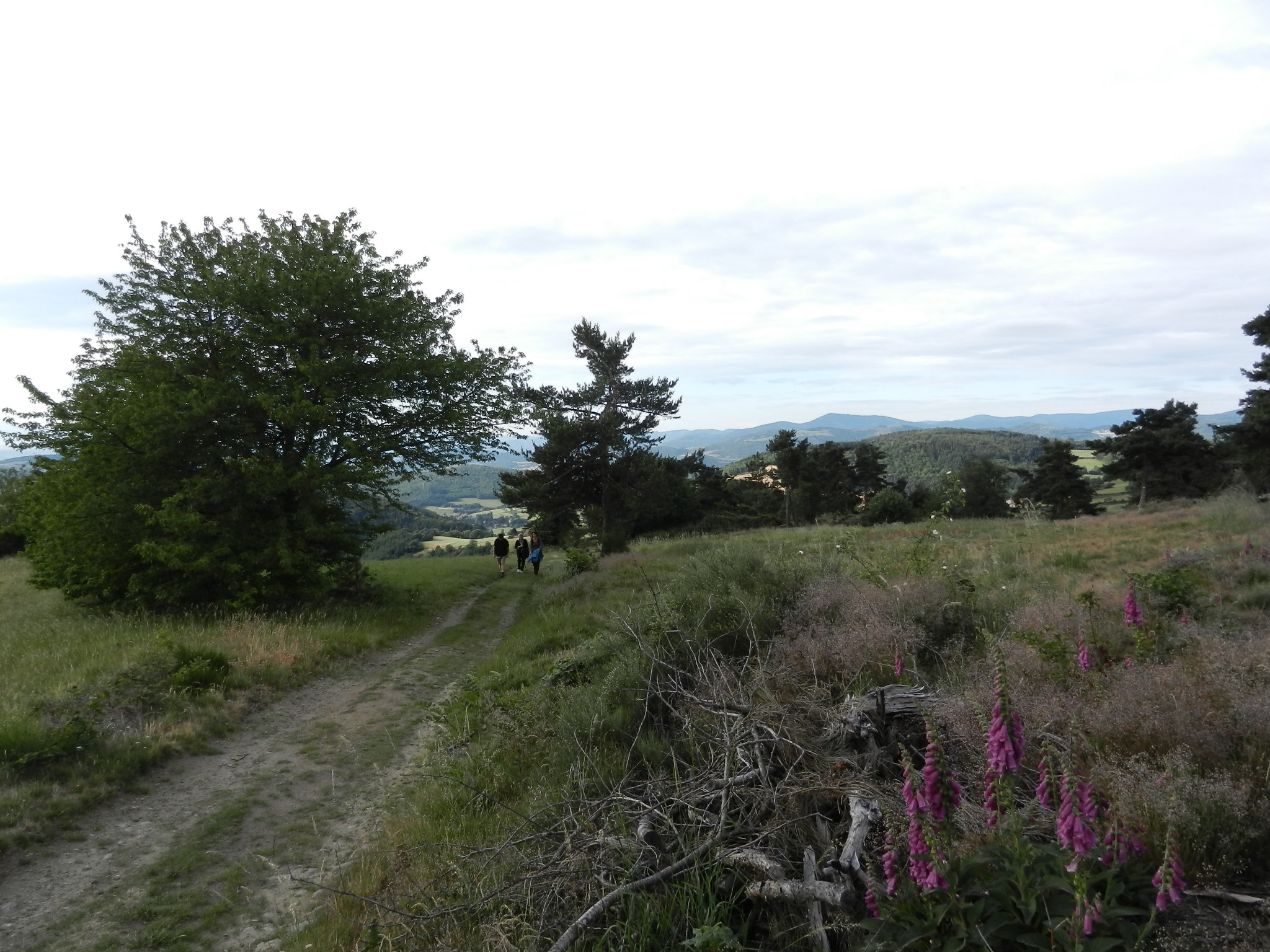 Paysage avant Les Roches