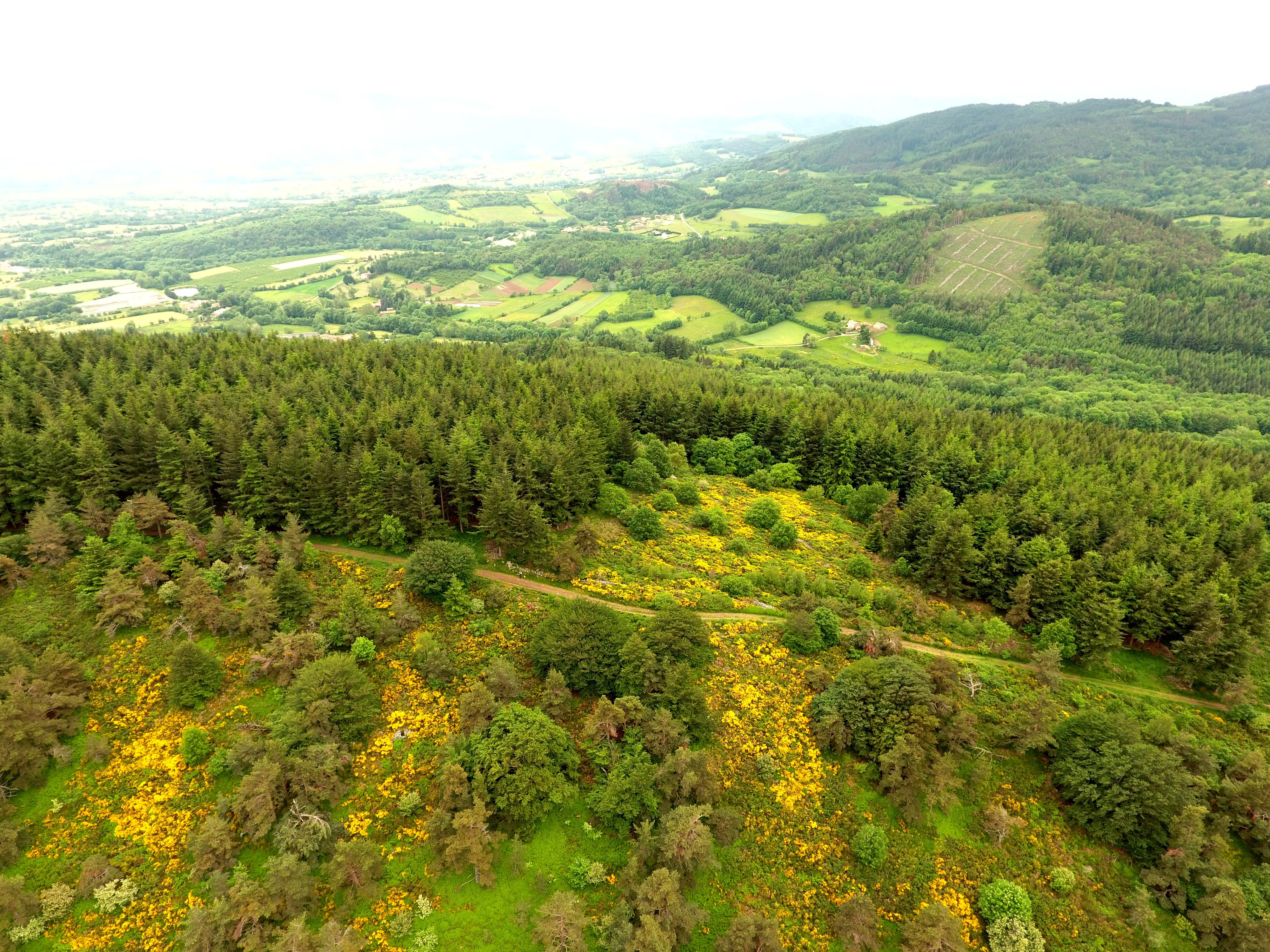 Vue de La Croix du Trève