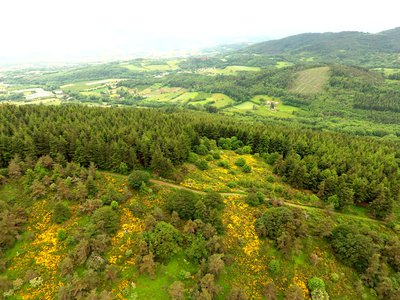 Vue de La Croix du Trève